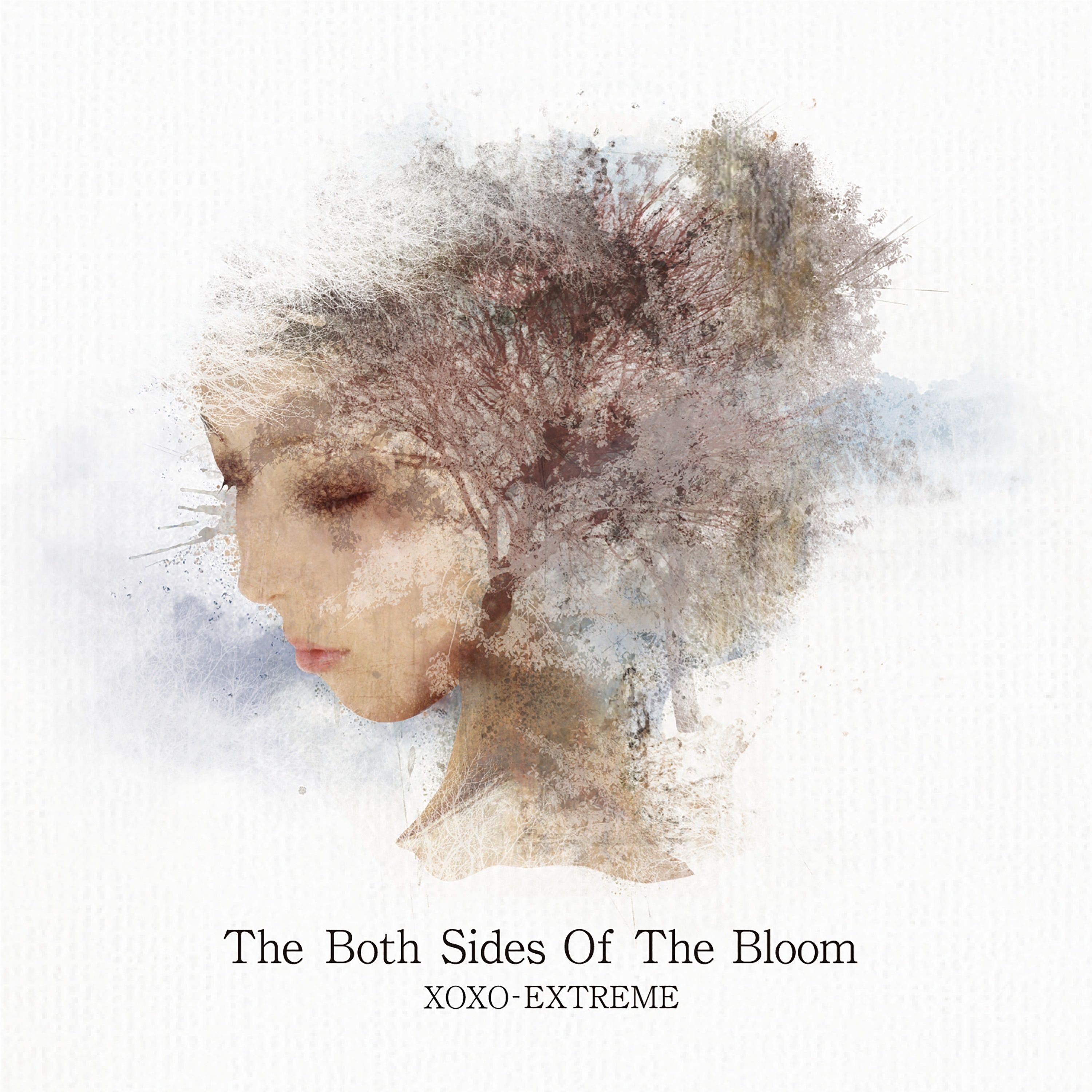 The Both Sides Of The Bloom cover artwork
