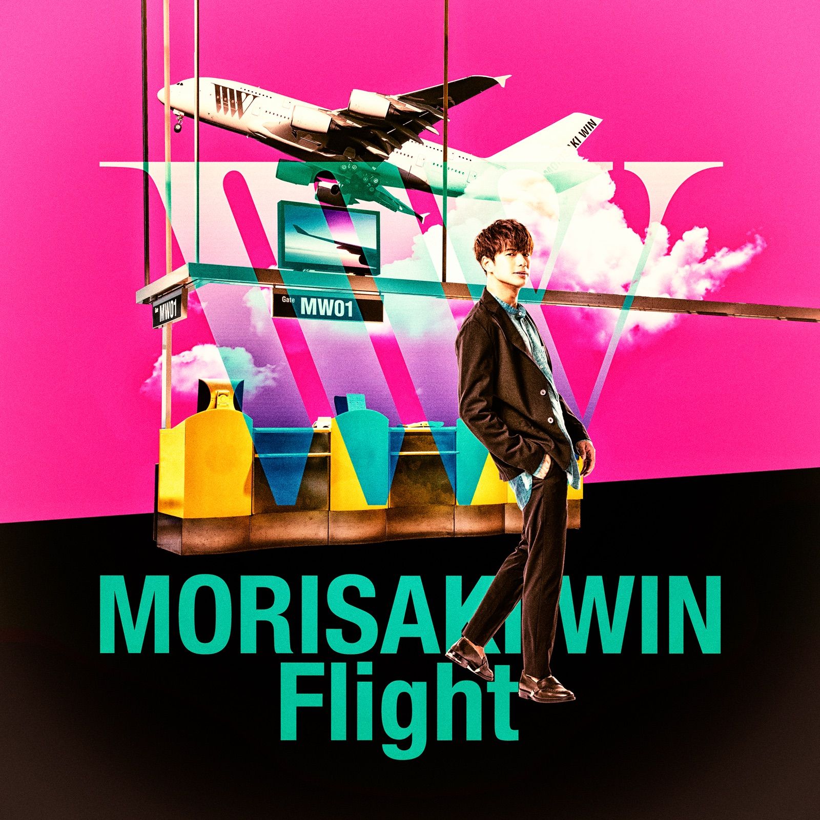 Flight cover artwork